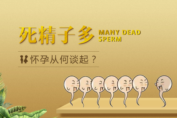 死精症怎么诊治